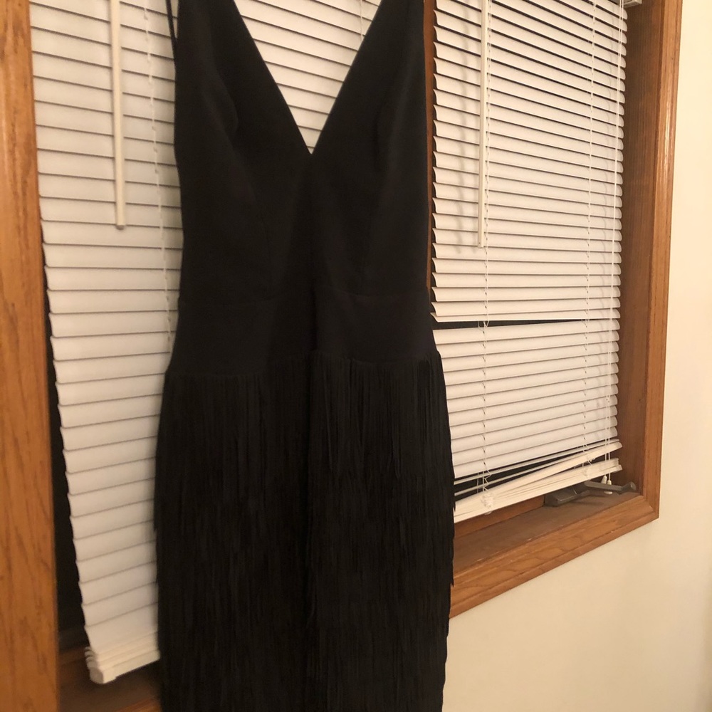 Dress the Population fringe dress.